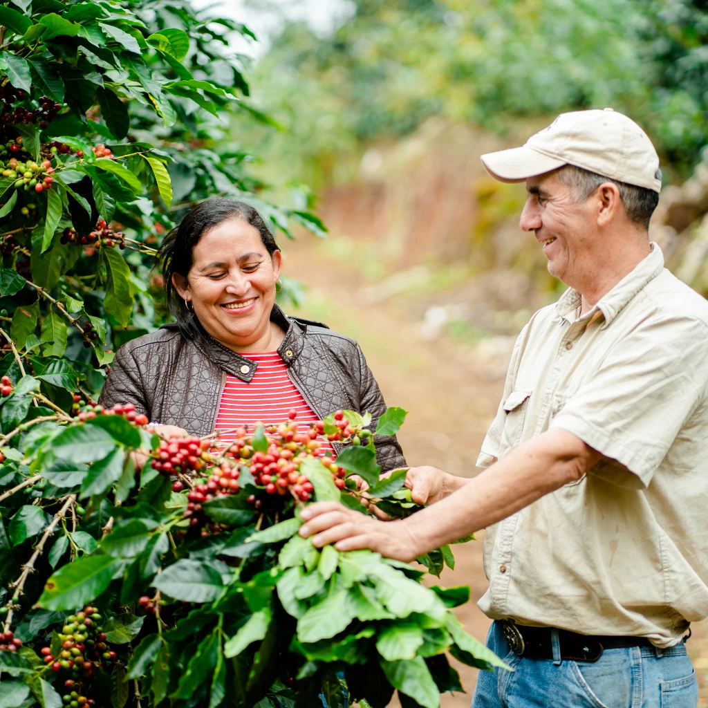 Sustainability_Supply Chain.jpg