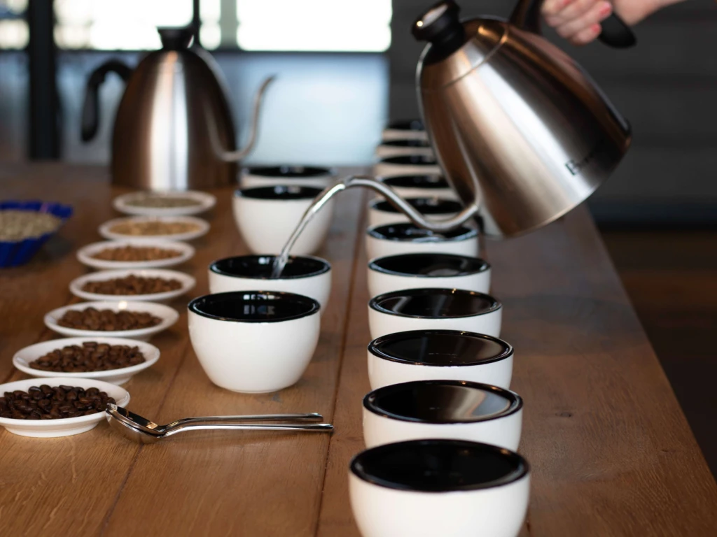 Cupping 6027.jpg